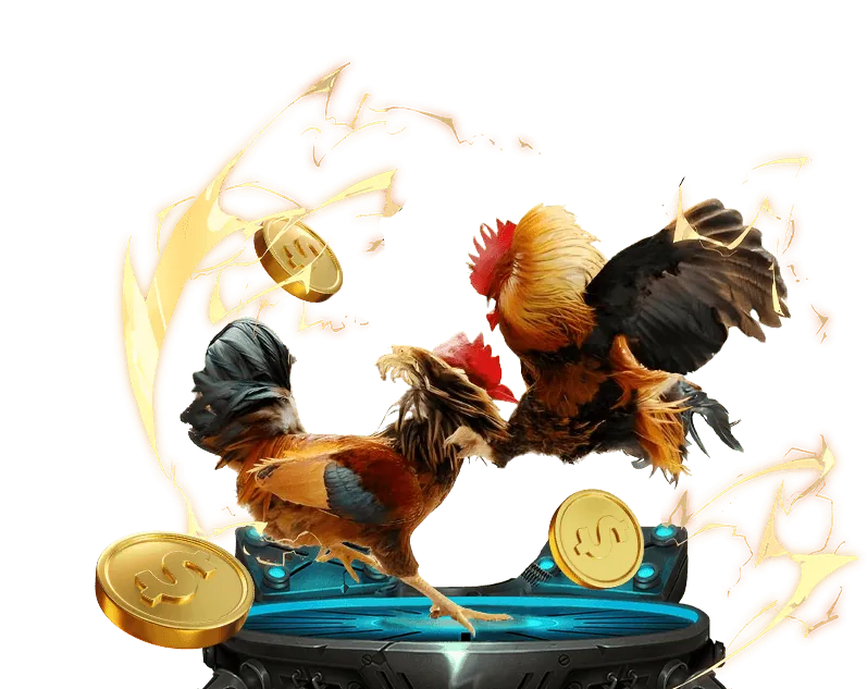 Sòng bạc trực tuyến 678win